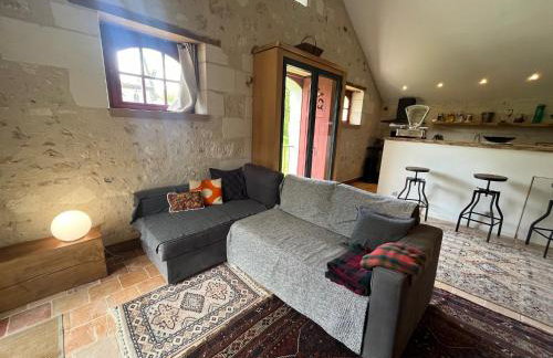 Proche Beauval appartement 60m2 avec mezzanine et petite terrasse - Foto 24
