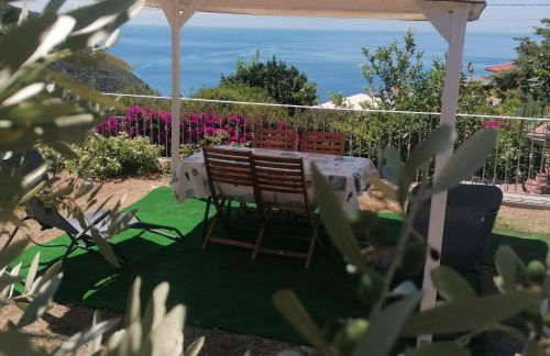 Il Rosmarino - Foto 2