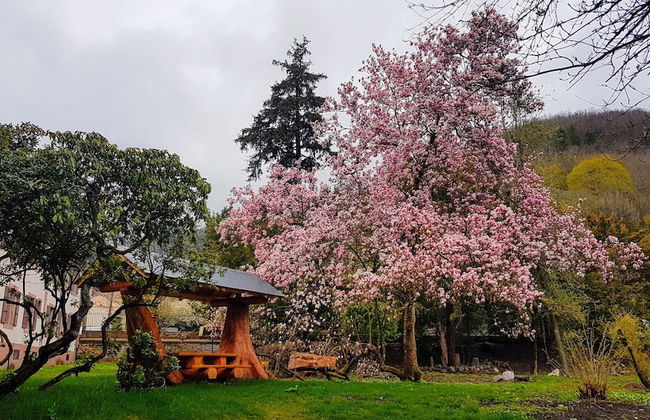 L'echappée Verte - Foto 59