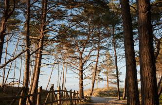 Ulinia Harmony Hill - Photo 62