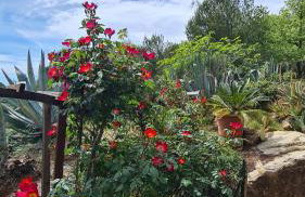 Casa Merea 16 - Foto 32