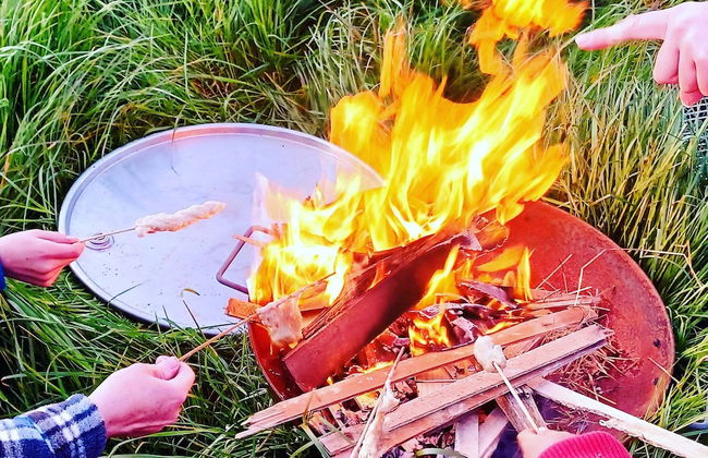 Secluded Converted Horsebox Retreat in Welcombe - Photo 22