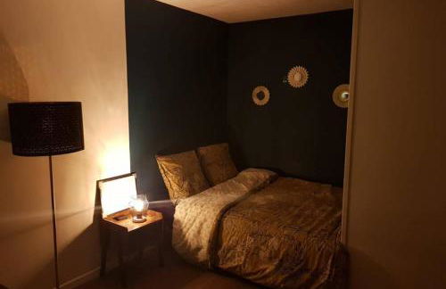 Studio privatif sur Orthez - Foto 6