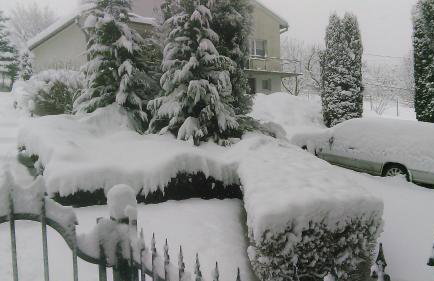 Apartament TARA - Foto 39