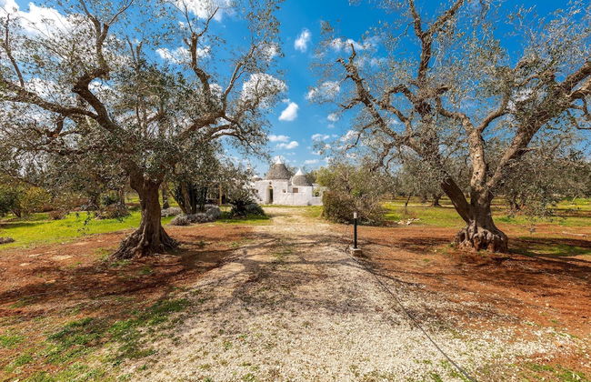 2771 Uliveto Valeria - Trullo Palma by Perle di Puglia - Foto 31