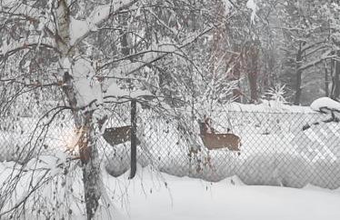 Domki Pod Brzozami Ustroń 2 - Photo 10