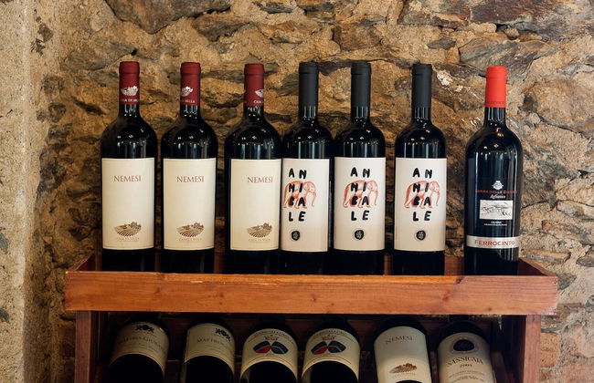 La Rosa Nel Bicchiere - Foto 29