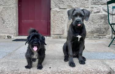 Casa da Eira - Foto 37