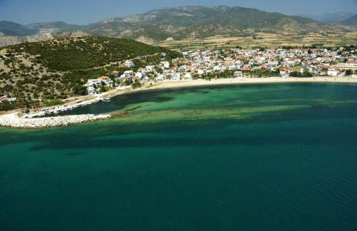 Magnolia House - Photo 21