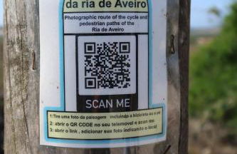 RiaEncontros- Villa T4 junto Ria e Pinhal - Foto 62