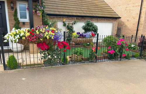 Driver Way - Photo 28