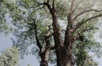 Grass Valley Home with Hot Tub - Photo 39