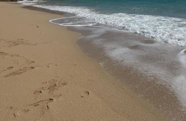 Holywell Lodge - Foto 31