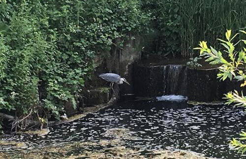 The Stables, Lower Mill Estate - Foto 7