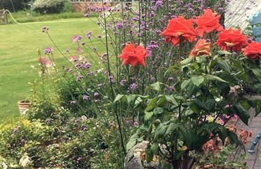 Highfield Lodge - Photo 26