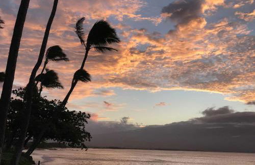 Kanai A Nalu 318 - Foto 46