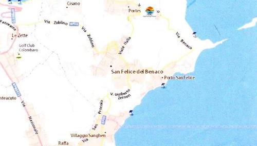 Prato Verde - Girasole - Foto 5