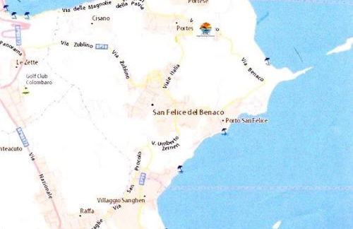 Prato Verde - Girasole - Foto 5