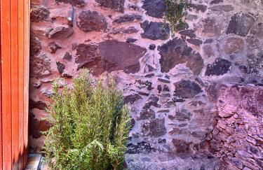 Palheiro Jardim by Olá Madeira - Foto 38