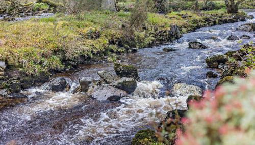 3 Bed in Bala oc-94600 - Foto 4, Other