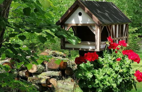Bahnhof Droyßig - Übernachten im Denkmal - Foto 33