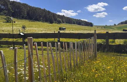 EifelChalet Niederehe - Foto 17