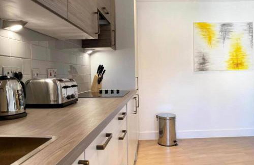 Modern & Stylish 2 Bedroom 2 Bath Apartments in Rochester - Foto 100