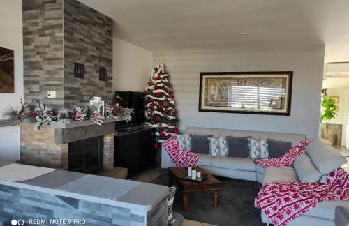 Cactus house - Foto 54