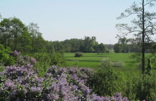 Holiday Home - Uns lütt Hüsung by Interhome - Foto 10