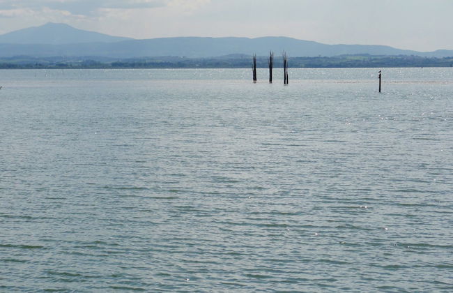 Un Petit Paradis - Foto 40