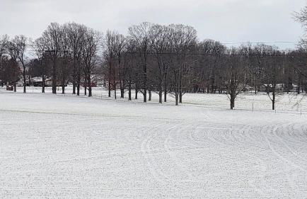 The Yellow House - Foto 11