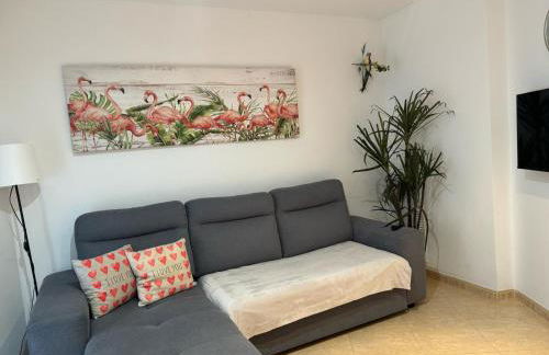 Parrot’s House - Foto 12