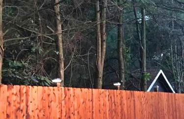 Rare River Views & Access, Cabin by Eden Islands - Foto 44