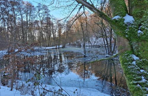 Fewo Waldfeeling - Foto 30