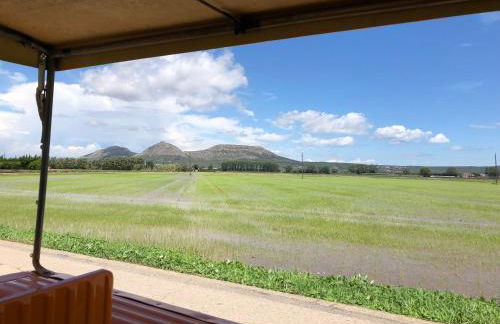 Mas PineII 2 - Viu Bé - Foto 22