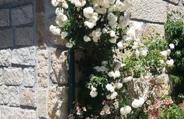 Casa do Forno da Aldeia - Serra da Estrela - Foto 48