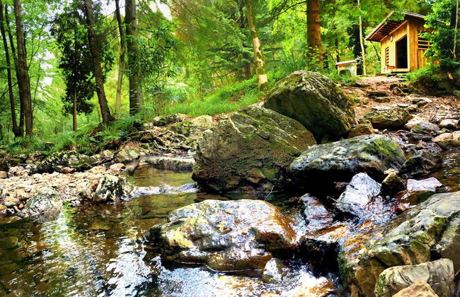 Vintage Chalet in Sougné-Remouchamps near Forest - Photo 34