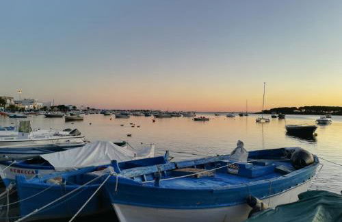 Agriturismo Torrevecchia - Foto 40