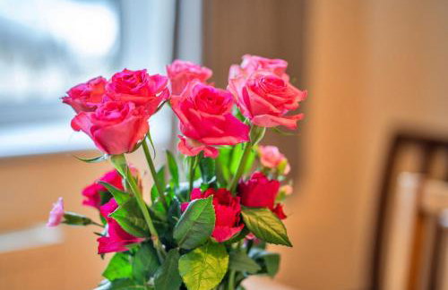 Finest Retreats - No1 Gladys Orchard - Photo 16