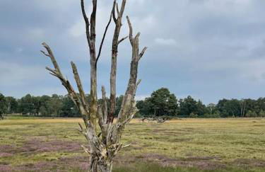 Casa Angres - Lüneburger Heide - Foto 30
