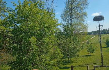 DOM w JESIONACH Brajniki - działka 1 HEKTAR - Photo 7