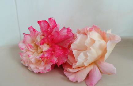 Ferien im Reetdachhaus - Foto 20