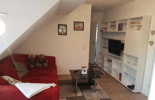 Oldenstadter Wassermuhle - Foto 8