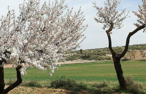 Casa Rural Abuela Dorotea - Foto 15