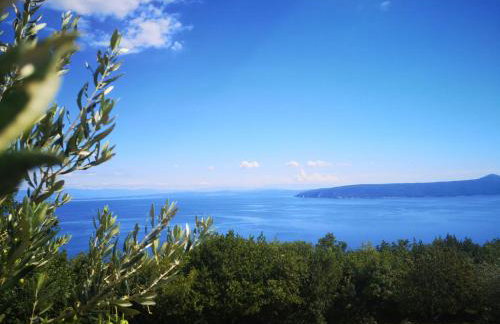 Apartman MARIJETA - Foto 49