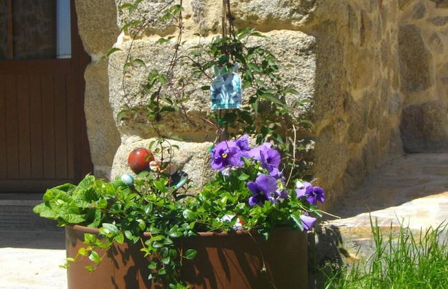 Casa Rural O Canto da Terra - Foto 50