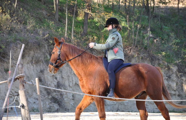 Agriturismo Le Querce del Vareglio - Foto 26