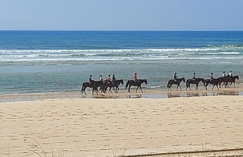T2, 50m du lac, PISCINE, WIFI, jardin terrasse sans vis-à-vis, 1 à 4 pers - Foto 39