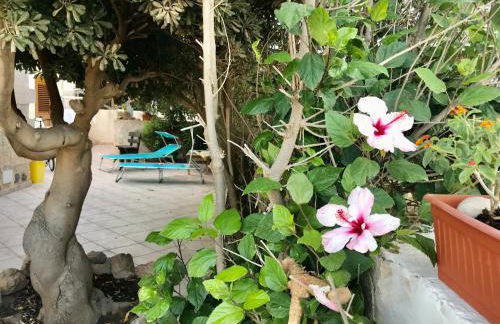 Home Music & Love - Foto 62