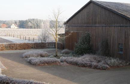 Ferienwohnung Wiesenblick nahe Region Celle und Hannover - Foto 22